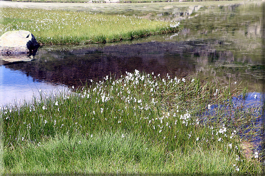 foto Lago di Juribrutto